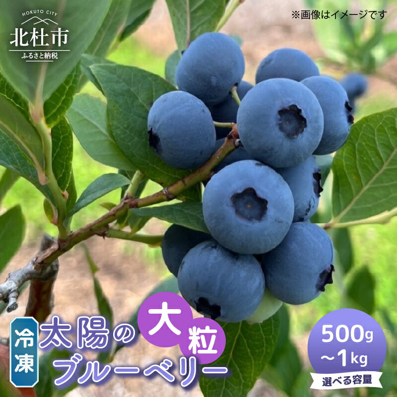 【ふるさと納税】 冷凍 選べる容量 500g 1000g 大粒 無農薬 期間限定 数量限定 フルーツ くだもの 冷凍フルーツ 新鮮 ジュース ジャム お菓子 山梨県 北杜市 明野町 送料無料 8000円 8000 10000円以下