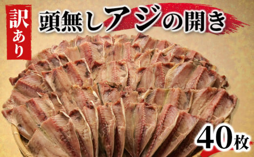 
訳あり あじ 鯵 干物 ひもの 40枚 たっぷり 炭室熟成 あじの開き 頭なし
