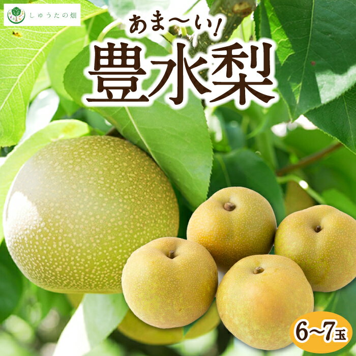 【ふるさと納税】【先行予約】しゅうたの畑 あまーい♪ 豊水梨 6玉から7玉 【2026年8月下旬より順次発送予定】 梨 なし ナシ 豊水 ほうすい フルーツ 果実 果物 常温 送料無料 福岡県 うきは市