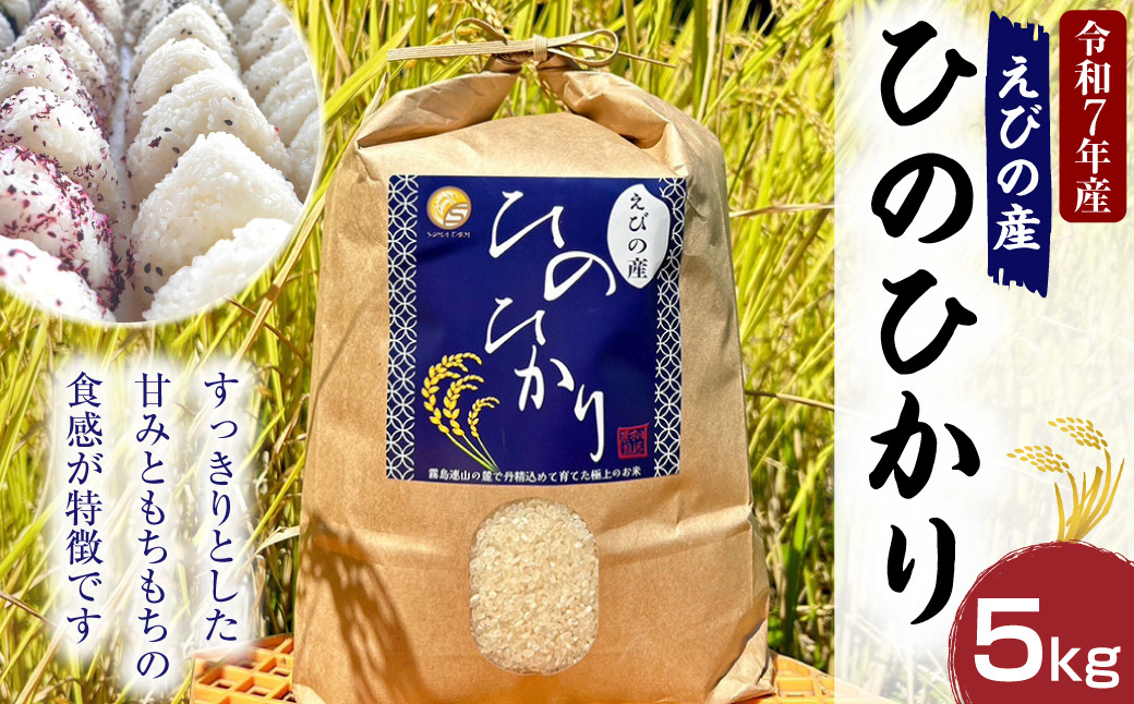 《令和7年産先行予約》【2025年11月発送】米 ひのひかり 5kg 九州 霧島 えびの産 ヒノヒカリ 発送直前に精米 農家 直送 お米 おこめ こめ コメ 白米 ふるさと納税 5キロ 九州産 宮崎県産 宮崎県 送料無料