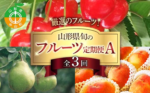 令和8年6月発送開始 山形県 厳選のフルーツ！ 山形県旬のフルーツ定期便Ａ 全3回 佐藤錦 白桃 ラフランス 期間限定 数量限定 山形県産 サクランボ 桃 梨 フルーツ 果物 くだもの 贈答 F4A-