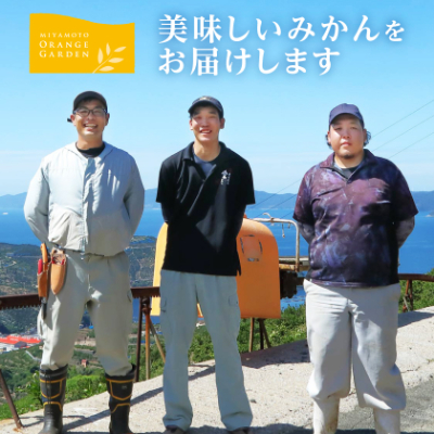 【2025年11月より順次発送】大玉サイズのみ厳選!愛媛みかん8kg【訳あり】【C25−142】【1166254】