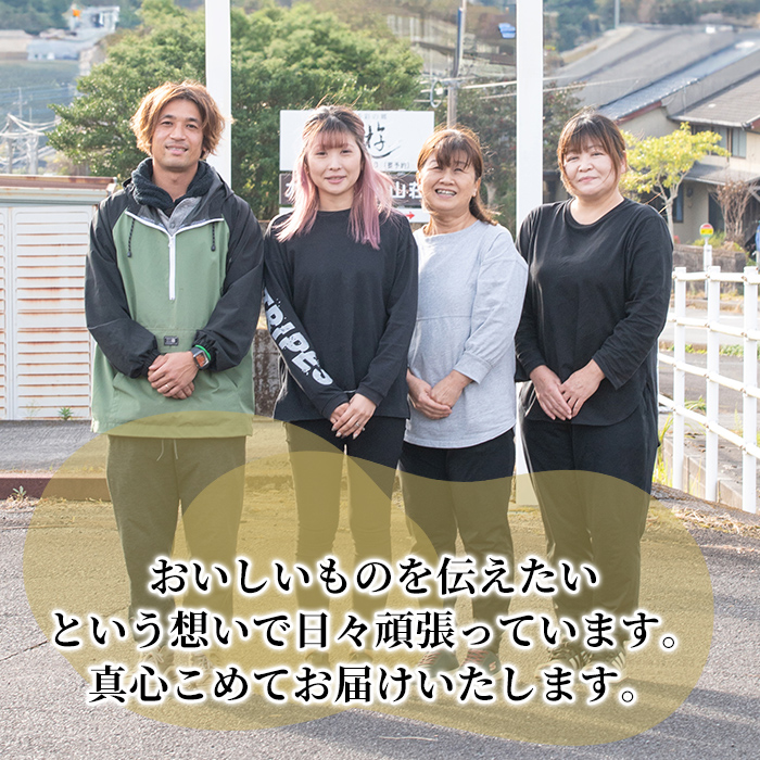 K-193-D 完熟干し芋 ＜3種食べ比べセット＞紅はるか250g×2袋、シルクスイート200g×1袋、安納芋200g×1袋・合計900g【フレッシュジャパン鹿児島】