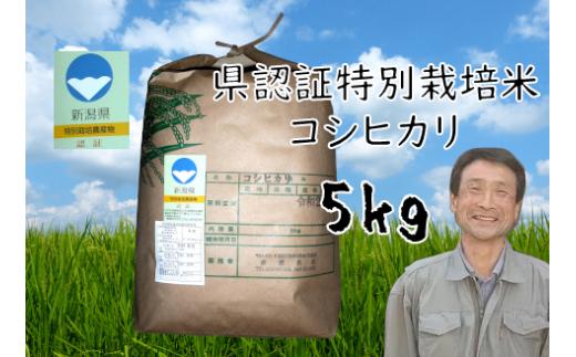 【令和6年産新米】【3か月定期便】特別栽培米 コシヒカリ 5kg×3回 新潟県認証 1G14031