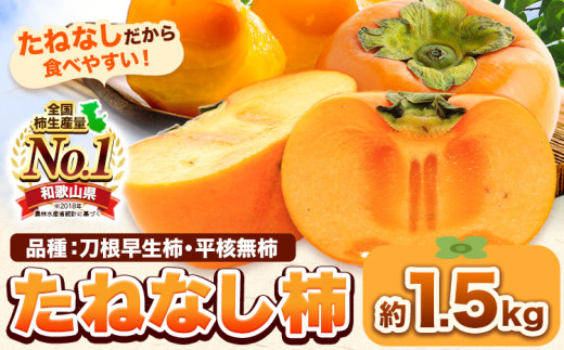 たねなし柿（刀根早生柿・平核無柿）約1.5kg《2026年9月中旬-11月上旬頃出荷(土日祝除く)》 和歌山県 岩出市 種なし柿 柿 果物 フルーツ 2L〜Mサイズ カキ