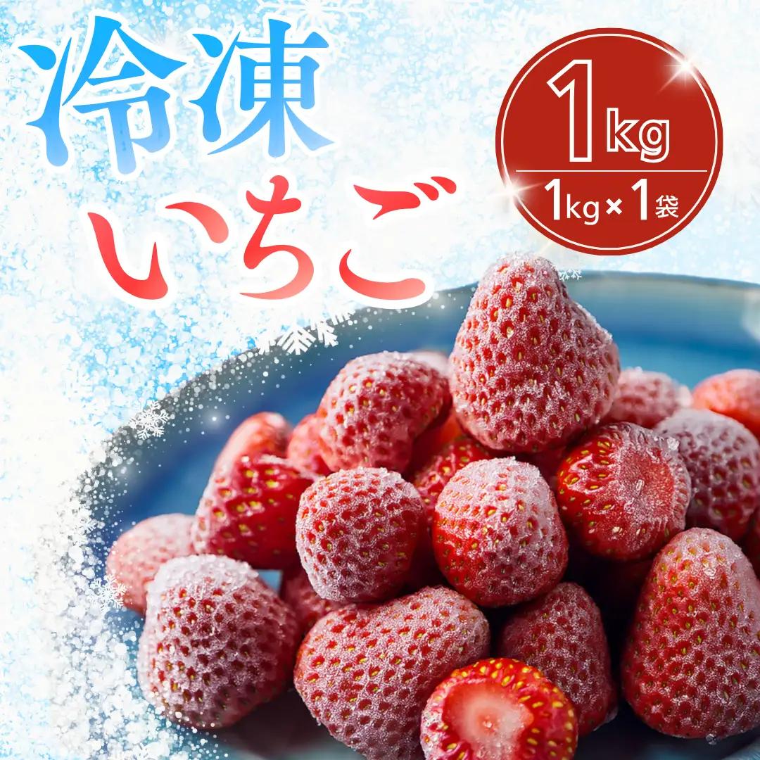 【先行予約_2026年発送】 冷凍いちご  紅ほっぺ 1kg　【 いちご 】