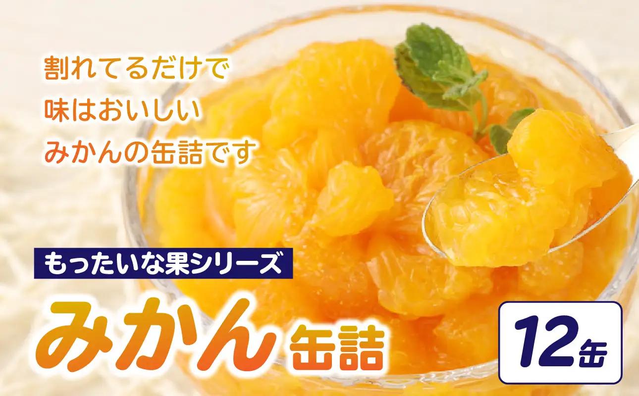 【訳あり】 もったいな果シリーズ みかん 缶詰 5号缶×12缶 セット 国産 007-022