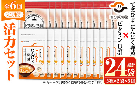 No.1298-B ＜定期便・全6回(隔月)＞活力セット(てまひま にんにく卵黄・ビタミンB群/各2袋×6回 計24袋) 鹿児島 日置市 ニンニク 健康食品 加工食品 栄養 元気 有精卵 カプセル 手軽に 安全安心【てまひま堂】