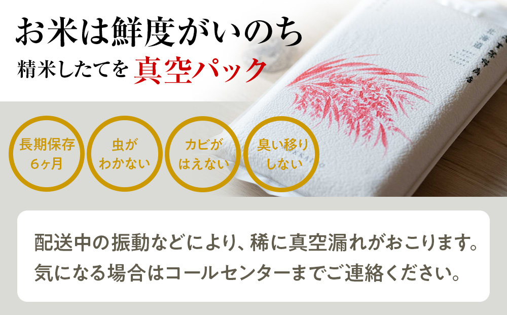 【定期便6回・中旬発送】北海道産ななつぼし 5kg(真空パック5kg×1袋) 特A お米  千歳 北海道米