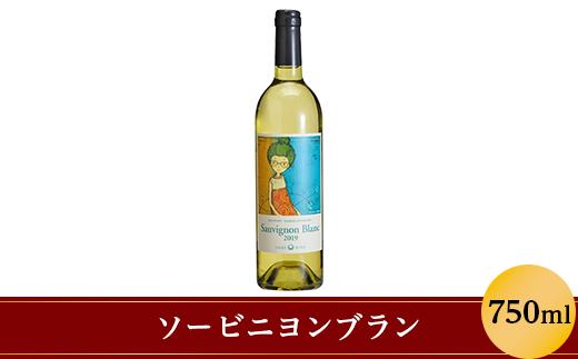 
            ソーヴィニヨン・ブラン 750ml 大池ワイン 1241
          