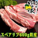 【ふるさと納税】奈半利ゆず豚スペアリブ(600g程度）豚肉 スペアリブ ゆず豚 高知県 奈半利町