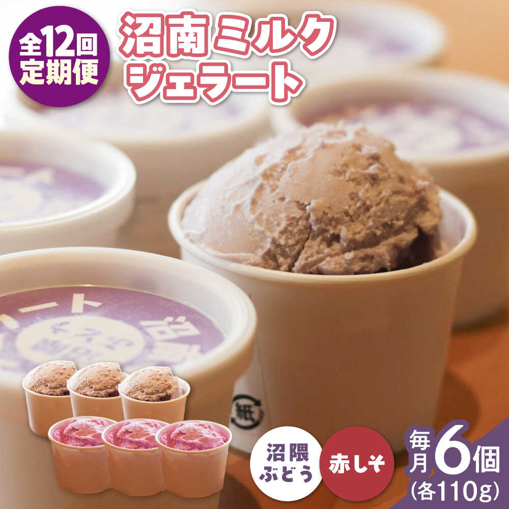 【ふるさと納税】【全12回定期便】沼南ミルクジェラート 沼隈ぶどう＆赤しそ 各3個 食べ比べセット アイス ぶどう 赤しそ アイスクリーム デザート スイーツ ご当地 おすすめ 人気 ひんやり お取り寄せ 詰め合わせ ギフト 贈り物 定期便 広島県福山市/甚ごろう[BAEC048]