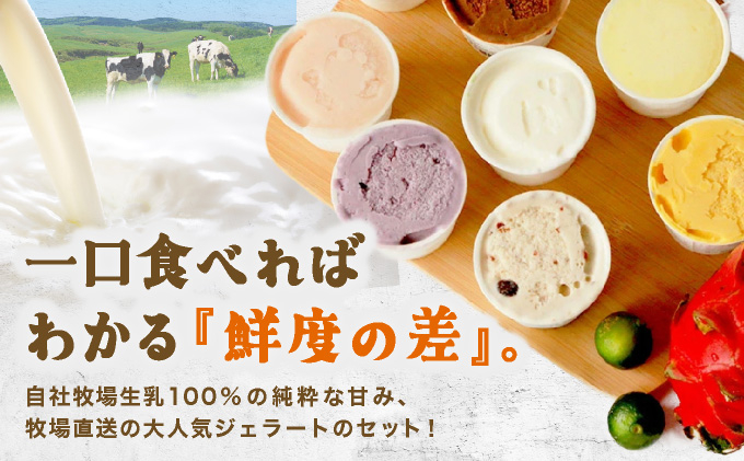 石垣島ミルミル本舗 南風ジェラートセット（132ml×12個）　Z-6　【石垣島 石垣市 沖縄県石垣市 セット ジェラート 石垣島産 八重山】