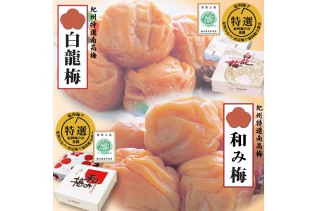 甘さ色々・梅干2品　yokosho003
