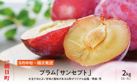 ＜先行予約＞プラム サンセプト 2kg 大玉 2L以上 秀品 化粧詰め 【2026年9月中旬～９月下旬発送】 山形県 朝日町産 山形産 すもも スモモ フルーツ 果物 秋 送料無料