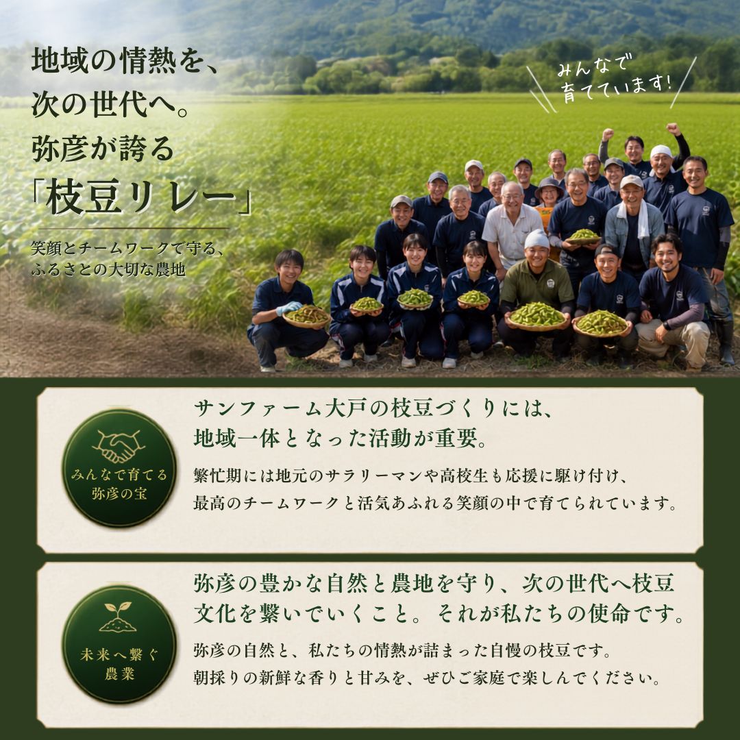 【先行予約】 朝どり新鮮 新潟 枝豆 えだまめ 茶豆 3kg | 特産品 野菜 おつまみ 晩酌 濃厚な甘さ お取り寄せ おすすめ プレゼント ギフト 贈答 贈り物 1キロ 新潟県 弥彦村 農事組合法人