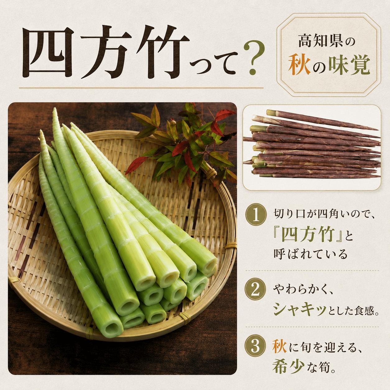 【期間限定】 国産 四方竹 土佐煮 200g × 5袋 (2026年11月～発送) | 筍 たけのこ 竹の子 タケノコ 先行予約 珍味 希少 煮物 鰹だし 醤油 惣菜 常温 高知 南国市
