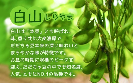 【令和7年産先行予約】朝採りだだちゃ豆 【白山】1.5kg (500g×3袋) 枝豆　小池半左衛門