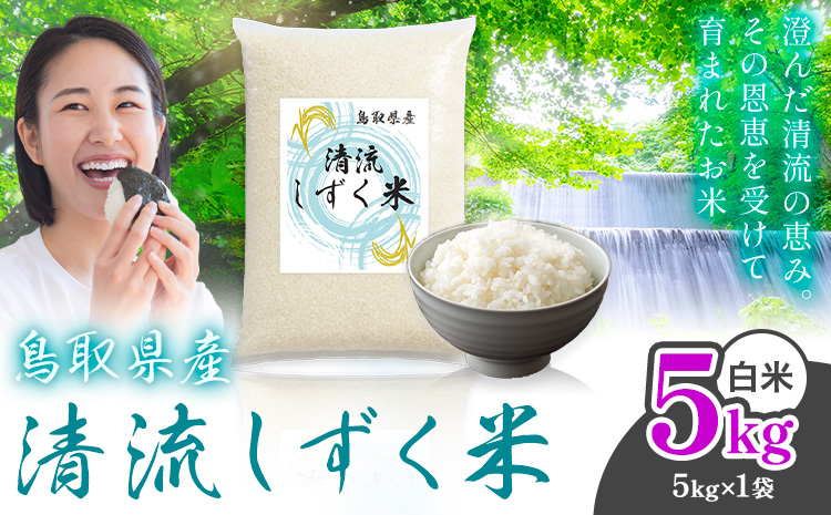 【年内発送】鳥取 ふるさと 白米 5kg 清流しずく米《11月中旬-12月末頃出荷》鳥取県 八頭町 米 お米 ご飯 八頭 ふるさと無洗米 生活応援 ブレンド米 複数原料米 訳あり 小分け kome ご飯