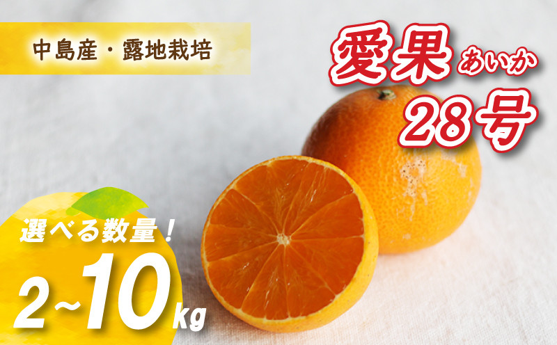 
【12月から発送】 愛果28号 2kg / 5kg / 10kg 数量選択可 あいか みかん 数量限定 みかん 愛媛県産 みかん 愛果28号 松山市 みかん 中島 みかん 愛果28号 みかん 蜜柑 愛果28号 ミカン みかん 旬 愛果28号 NO013 みかんランキング 上位
