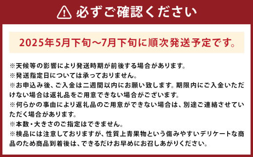 大玉すいか 秀品 1玉 約6kg?9kg 【2025年5月下旬～7月下旬発送予定】