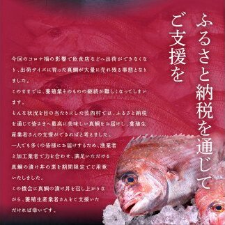 KYF117　海鮮「真鯛の漬け丼の素」1食80g×5P＋「訳ありカツオのたたき」600g以上《迷子の真鯛を食べて応援 養殖生産業者応援プロジェクト》 応援 惣菜 そうざい冷凍 保存食 小分け パック 