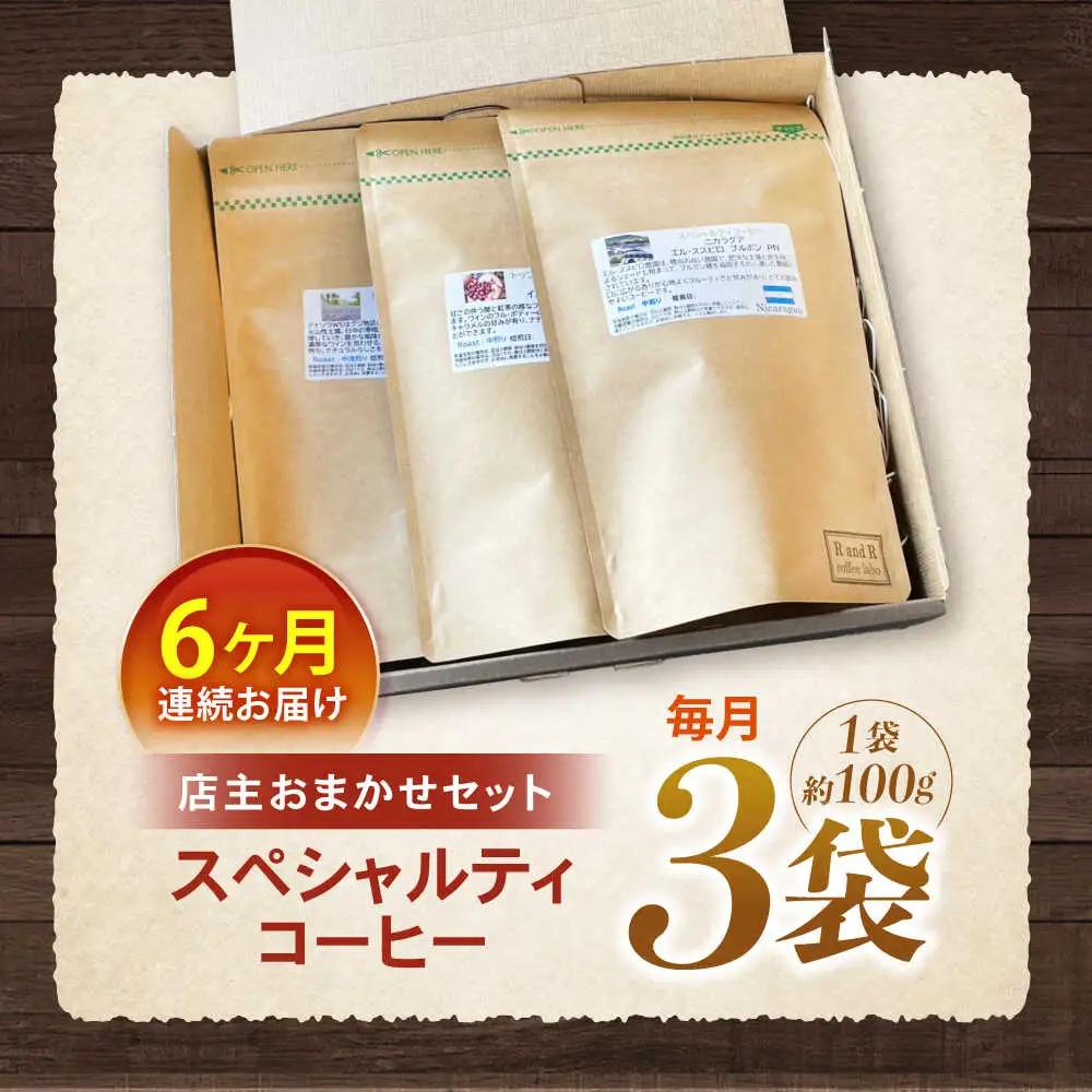 【6回定期便】挽き方が選べます！自家焙煎スペシャルティコーヒーおまかせセット(中挽き) / スペシャルティコーヒー ブレンド コーヒー 中挽き / 諫早市 / R and R coffee labo 