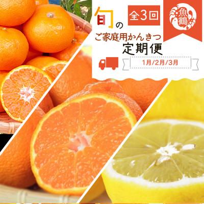ふるさと納税 由良町 【発送月固定定期便】紀州和歌山産旬のご家庭用柑橘セット(みかん・不知火・レモン)全3回