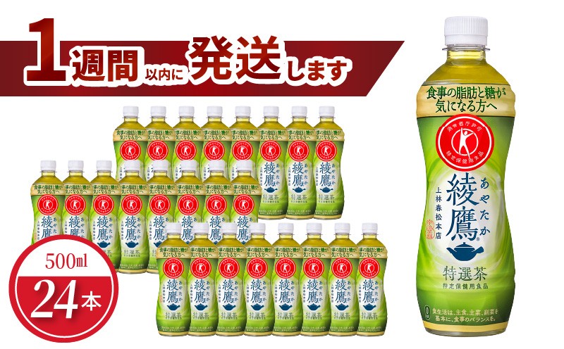 
                  綾鷹 特選茶 PET 500ml（24本入）特保 トクホ 特定保健用食品 緑茶 お茶 味わい お取り寄せ 守山市 BB-0024
                