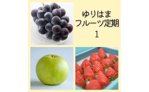 35M.ゆりはまフルーツ定期便①