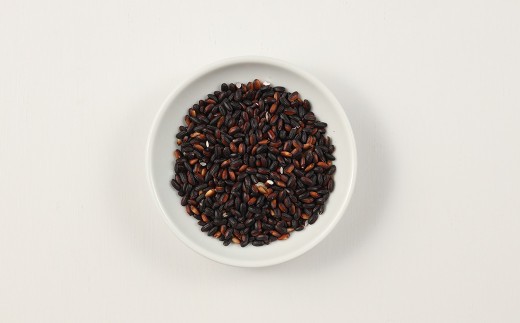 【白米に混ぜるだけ】黒米（500g）（しだれ桜とナリエの里 四美）【南ひだヘルスファーム】【岐阜県下呂市産 米 もち米 下呂市 古代米 もちもち モチモチ 】