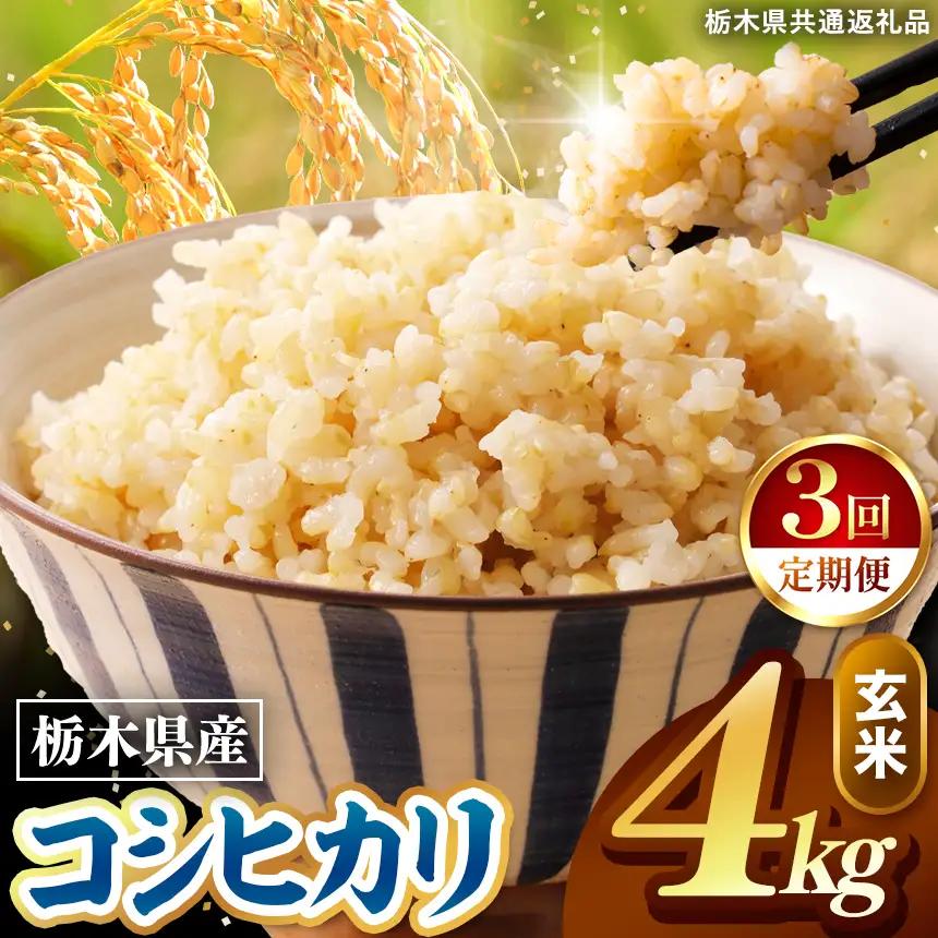 令和8年度産 先行予約 【定期便3回】こしひかり 玄米 約4kg