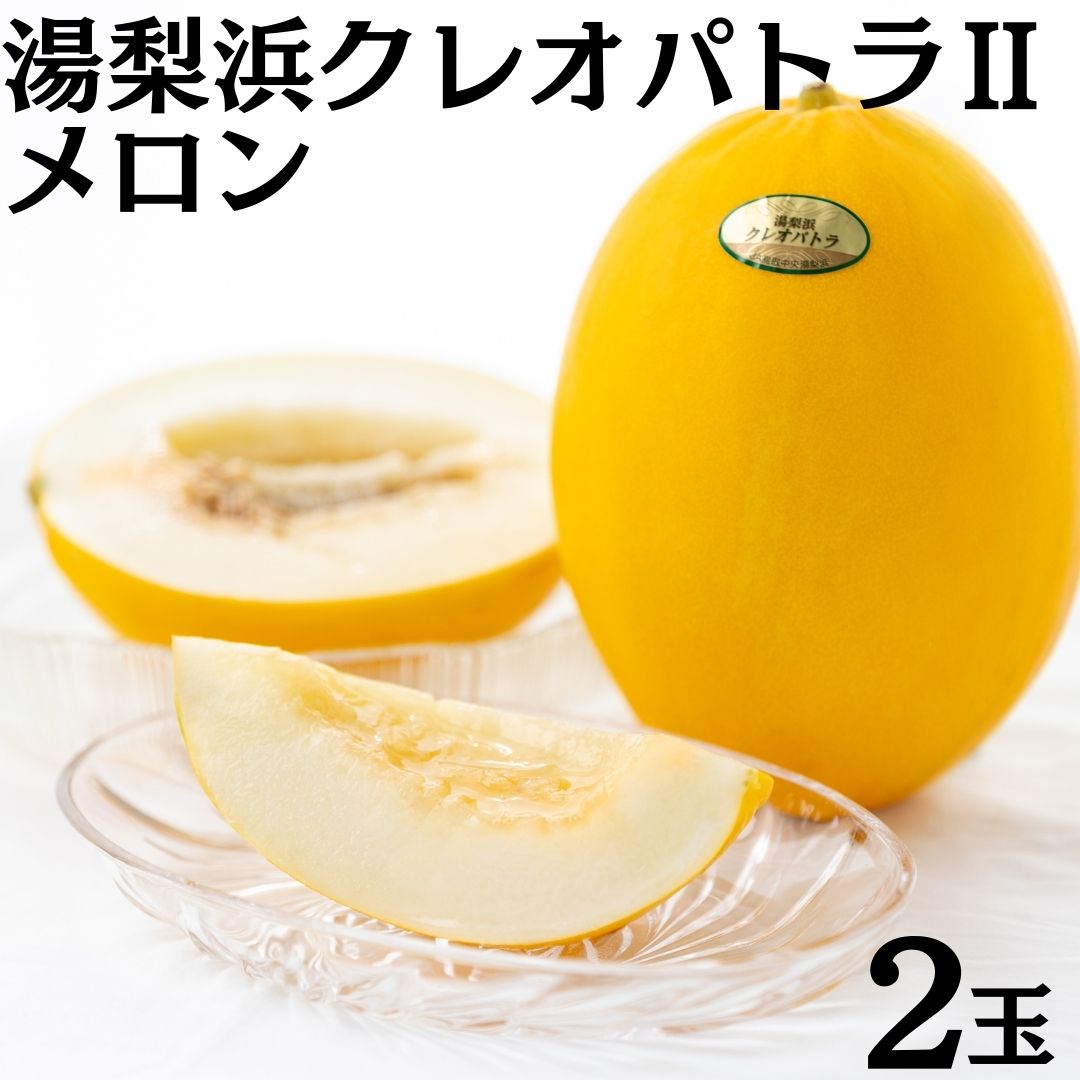 メロン クレオパトラ 2玉 (20MS.)| 鳥取県 湯梨浜町 果物 フルーツ 特産品 2026年 先行予約 先行受付