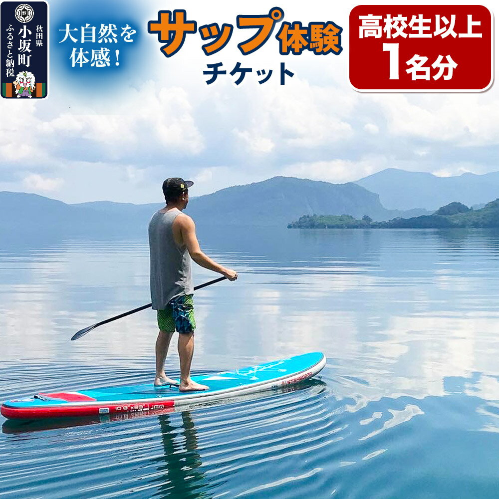 【ふるさと納税】サップ体験チケット 高校生以上 1名分 体験 アクティビティ 秋田県 小坂町