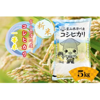 ふるさと納税 滑川市 滑川産コシヒカリ(令和8年産新米/精米)5kg