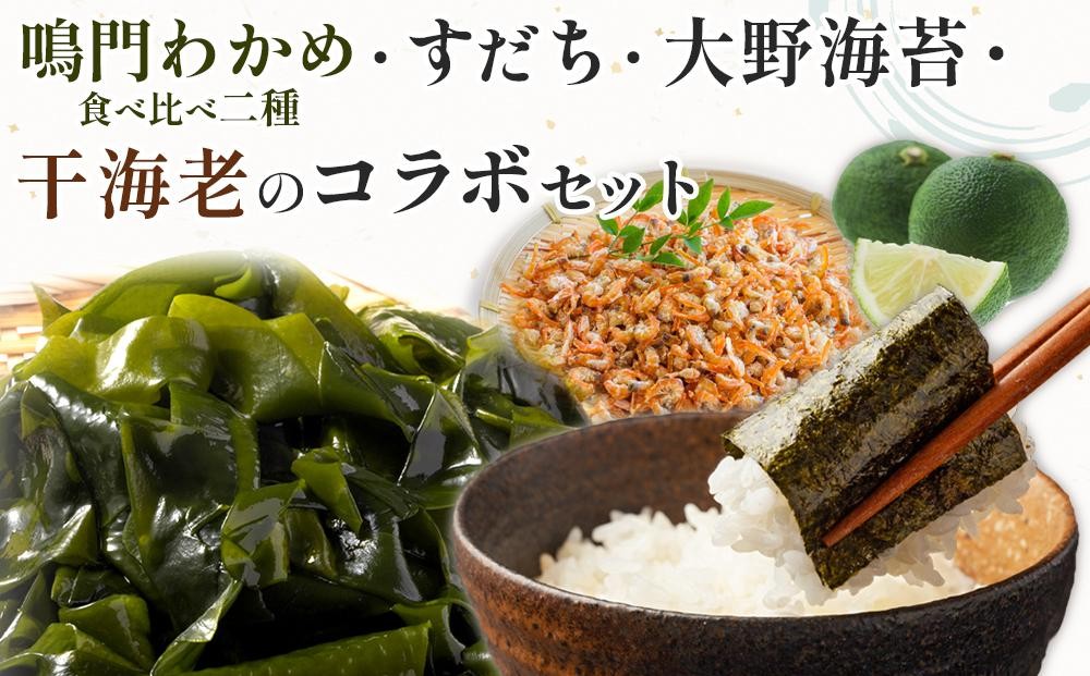 
                  鳴門わかめ食べ比べ二種 すだち 大野海苔 干海老のコラボセット | 鳴門わかめ わかめ 生わかめ 海鮮 海産 詰め合わせ 詰合せ 小分け 保存食 味噌汁 みそ汁 酢の物 サラダ 簡単調理 手軽 人気 おすすめ 海の幸 徳島
                