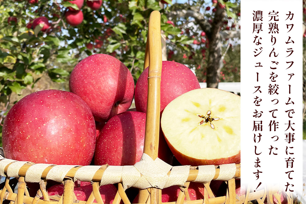 無添加 りんごジュース 葉とらずふじ 1L×3本 カワムラファーム