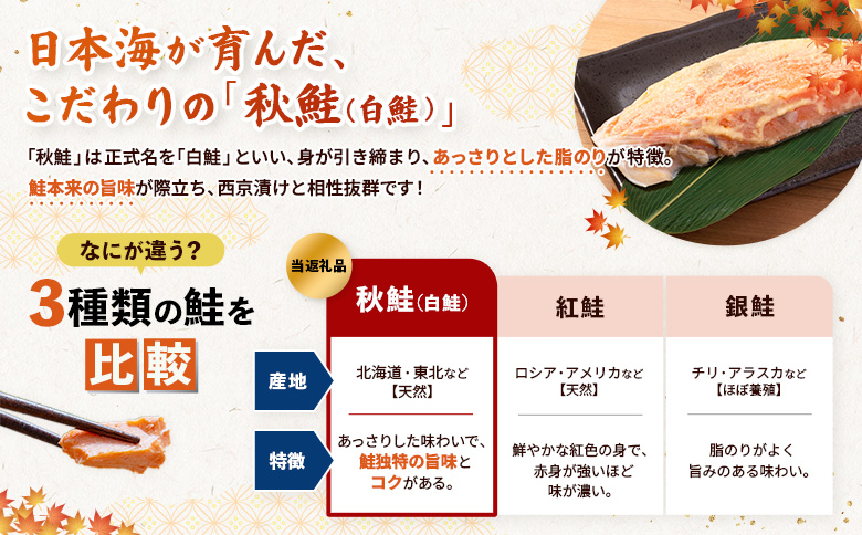 【北海道産】厚切り天然鮭西京漬け 4枚（4枚×1パック） | 秋鮭 味噌漬け さっぱり 旨味 引き締まった身 焼き魚 小骨取り 加工 鮭 切り身 魚料理 弁当 おかず 夕食 惣菜 和食 安心 食べやす