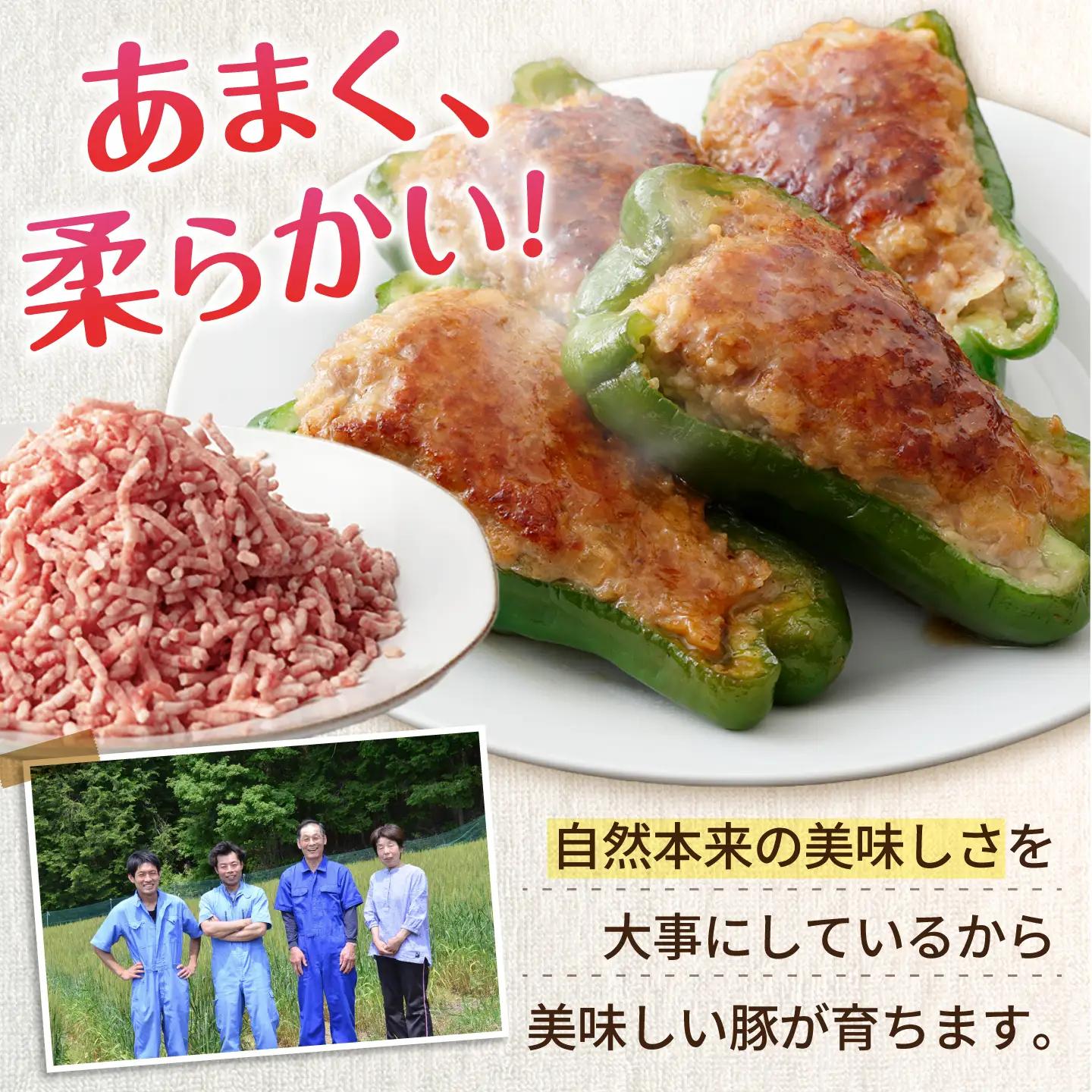 豚肉ミンチ 計2kg 藤井ファーム[AWAF091]ひき肉