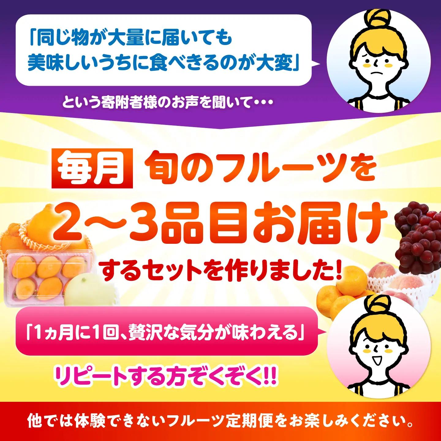 【12回】フルーツ定期便 旬のフルーツ[SCZ014]