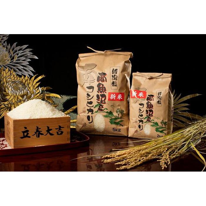 【令和7年産 新米予約】【高級】南魚沼塩沢産こしひかり5kg(無洗米)【令和7年10月中旬以降発送】【米 お米 こしひかり 南魚沼 米 無洗米 こめ 新潟 米】