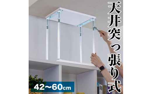 
            耐震つっぱりONECELL Mタイプ 約42から60cm 天井突っ張りユニット つっぱり棒 強力 おしゃれ 地震 家具転倒防止器具 突っ張り棒 防災グッズ 家具転倒防止伸縮棒 耐震 家具転倒防止棒 伸縮棒 地震対策 防災用品 金具 冷蔵庫 災害対策 ストッパー SNG1044552
          