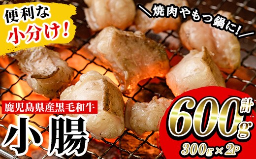 鹿児島県産 黒毛和牛 小腸 ホルモン 600g(300g×2P) 冷凍 小分け 国産 鹿児島県産 黒毛和牛 モツ 生ホルモン 生冷凍ホルモン お取り寄せ【00-030-27】