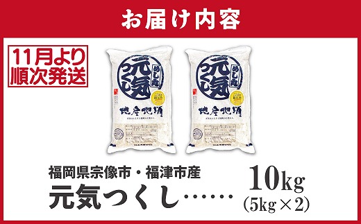 【令和7年産米】【2025年11月より順次発送】JAよりお届け！福岡県ブランド米「元気つくし」10kg（5kg×2袋）[H2311]