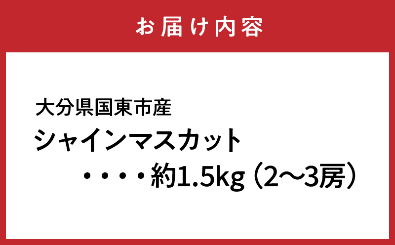 【先行予約】 農家直送！ 新鮮 採れたて シャインマスカット 約1.5kg 令和7年出荷分 フルーツ 果物 贈答 大分県産_2537R