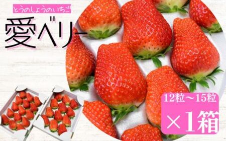 【2026年先行予約】　いちご 「 アイベリー （ 愛ベリー ）」 大粒 12粒～15粒入り 1箱 甘い いちご 苺 イチゴ 果物 フルーツ 2026年 先行予約 先行 予約 千葉県 東庄町