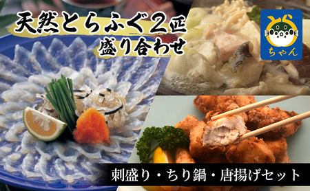 とらふぐ 天然 魚貝類 刺身 ちり鍋 唐揚げ 千葉県産 とらふぐ【2匹】