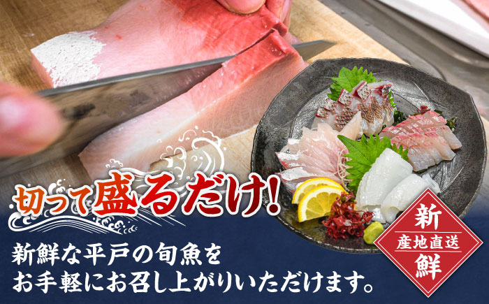 【全3回定期便】 獲れたて 旬魚 の柵 3種 セット（ 刺身 2種＆ イカ 1種）（4～5人前）【平戸市/舘浦漁業協同組合】 [KAA518]