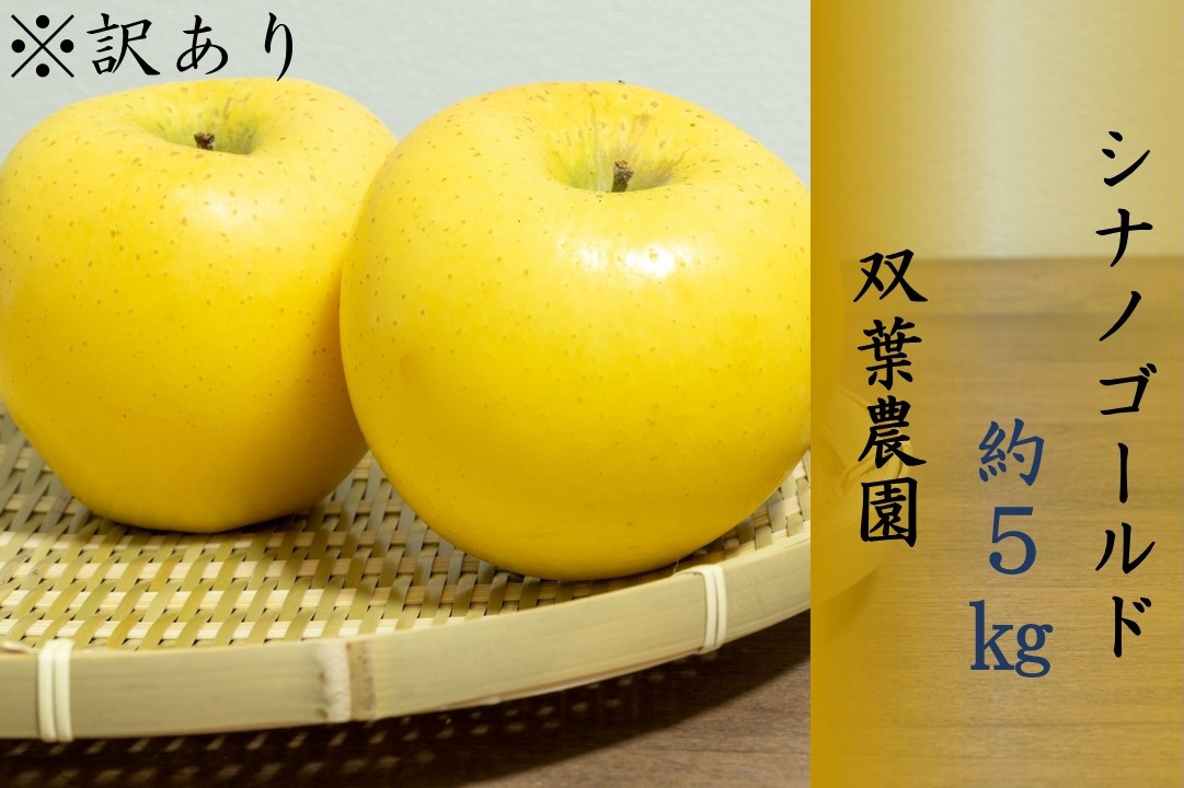 
                  265 ※訳あり りんご シナノゴールド ５㎏ 【双葉農園】
                