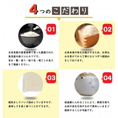 ふるさと納税 十日町市 【発送月固定定期便】【先行10月下旬発送】定期便6か月　新潟県魚沼産川西こしひかり1合×10袋全6回 |  | 01